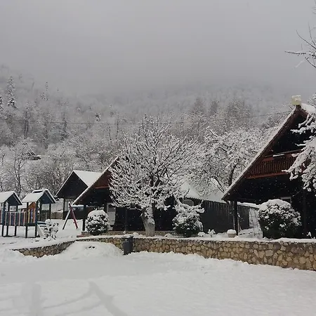 Motorom Guest house Zarnesti